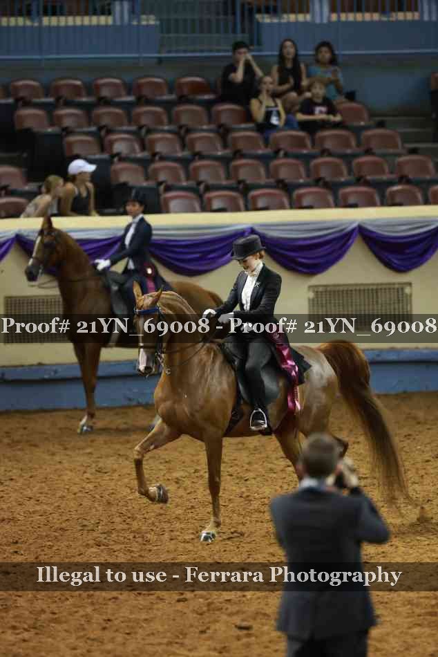 Proof 21YN_69008