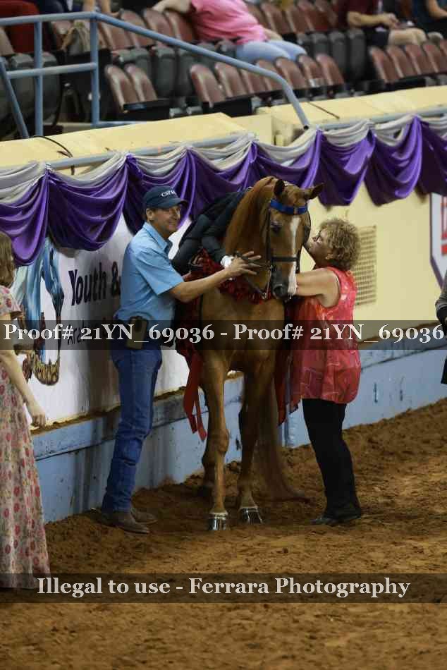 Proof 21YN_69036