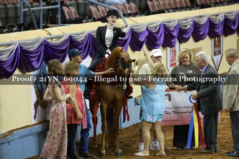 Proof 21YN_69044