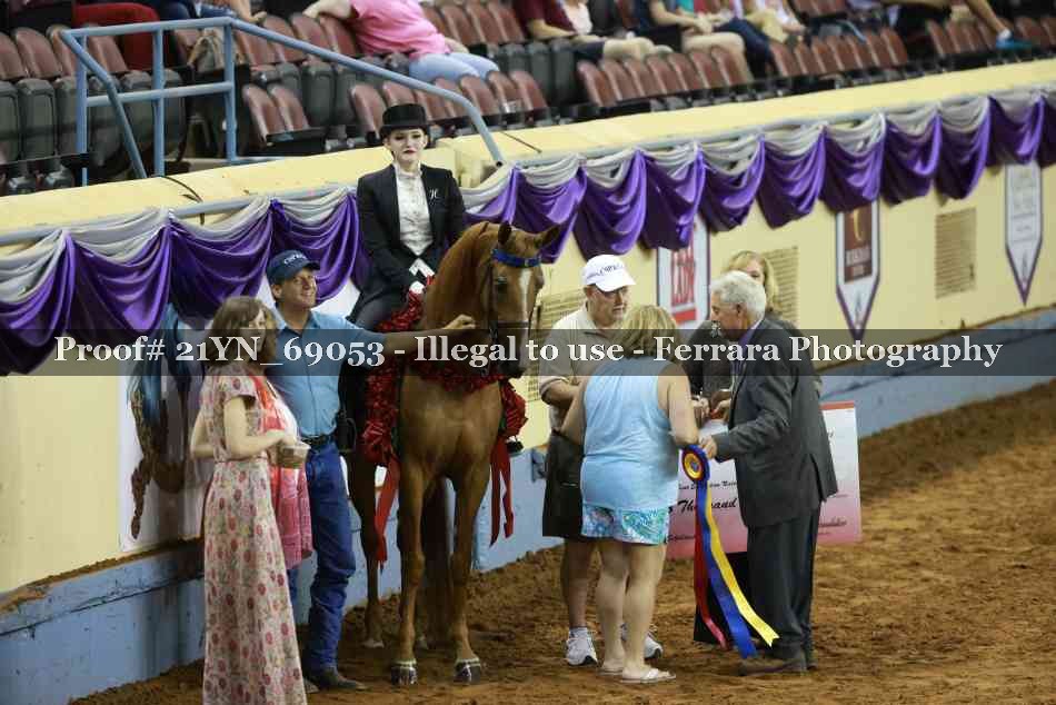 Proof 21YN_69053