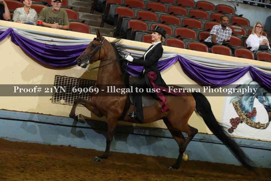 Proof 21YN_69069
