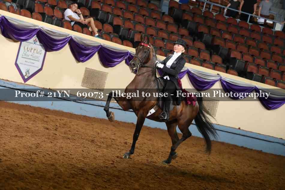 Proof 21YN_69073