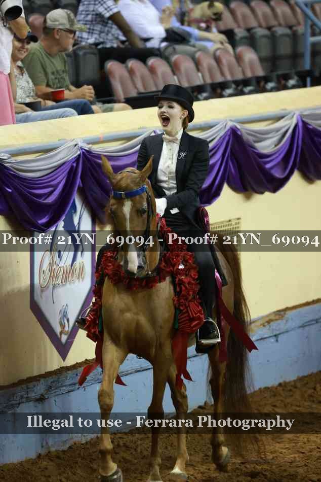Proof 21YN_69094