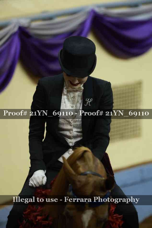 Proof 21YN_69110