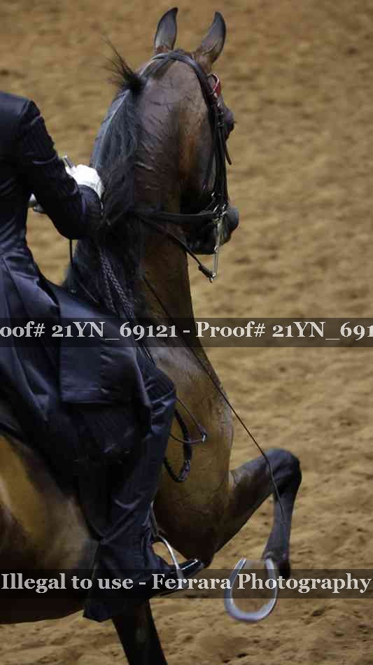 Proof 21YN_69121