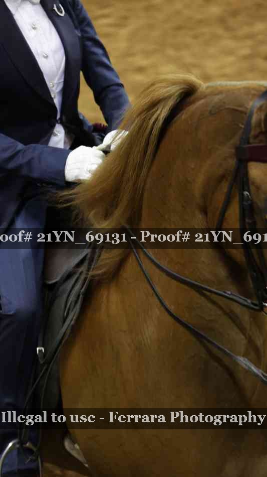 Proof 21YN_69131