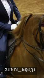 21YN_69131 proof