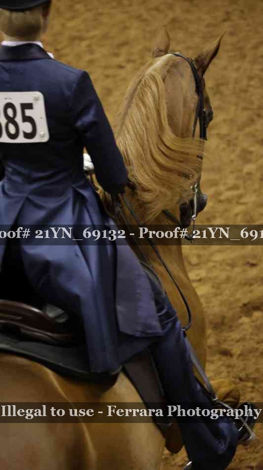 Proof 21YN_69132