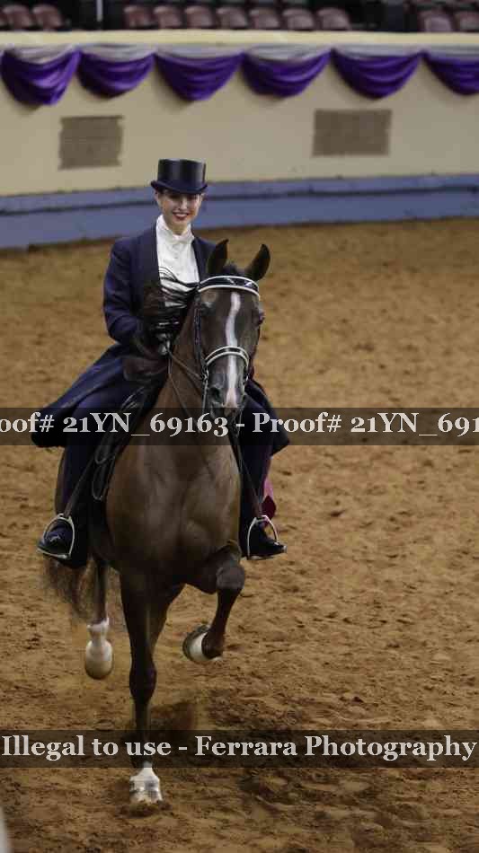 Proof 21YN_69163