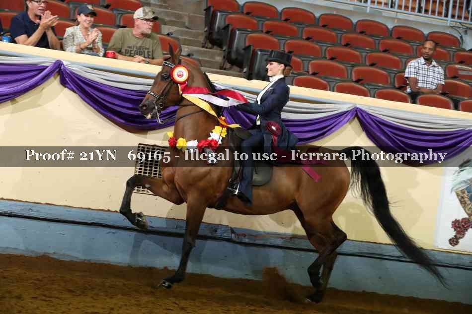 Proof 21YN_69165