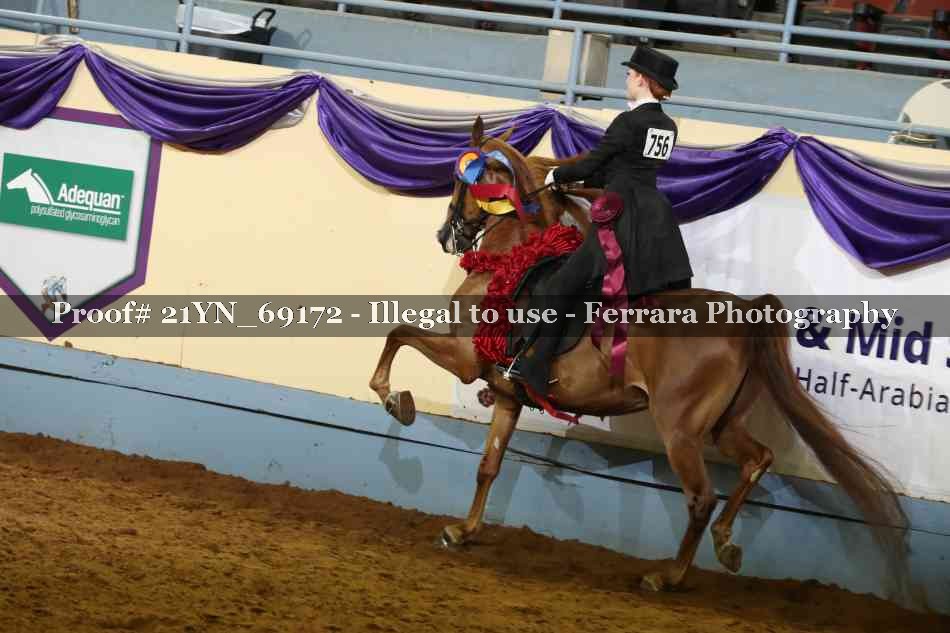 Proof 21YN_69172