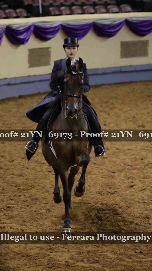 Proof 21YN_69173