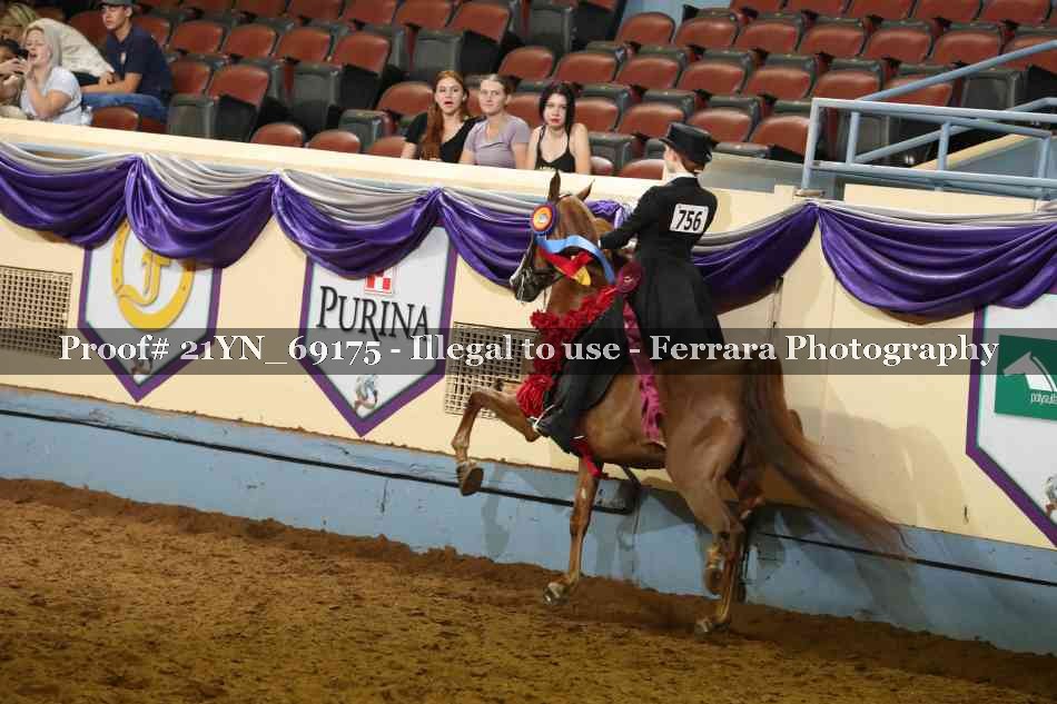 Proof 21YN_69175