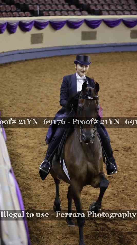 Proof 21YN_69176