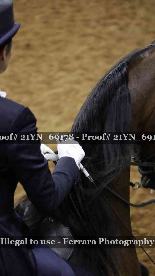 Proof 21YN_69178