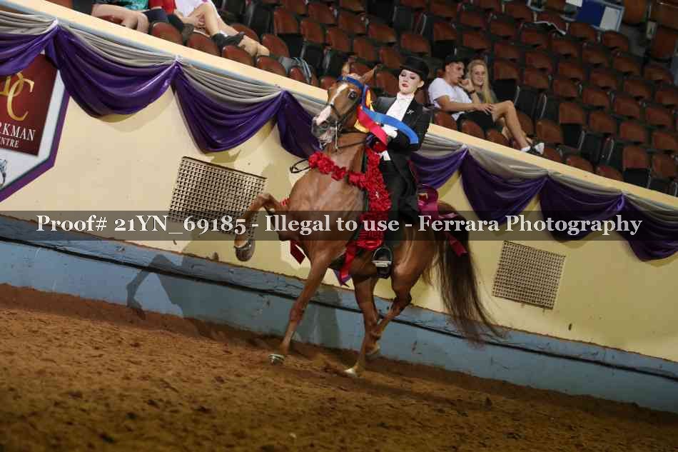 Proof 21YN_69185