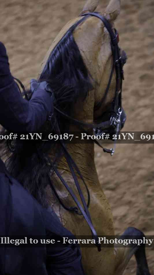 Proof 21YN_69187