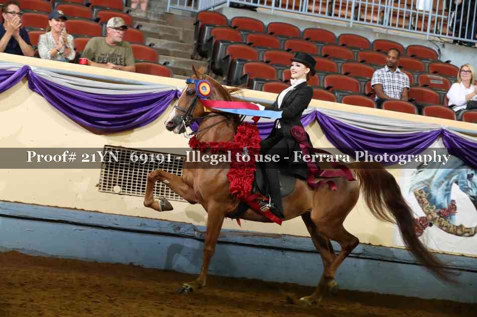Proof 21YN_69191