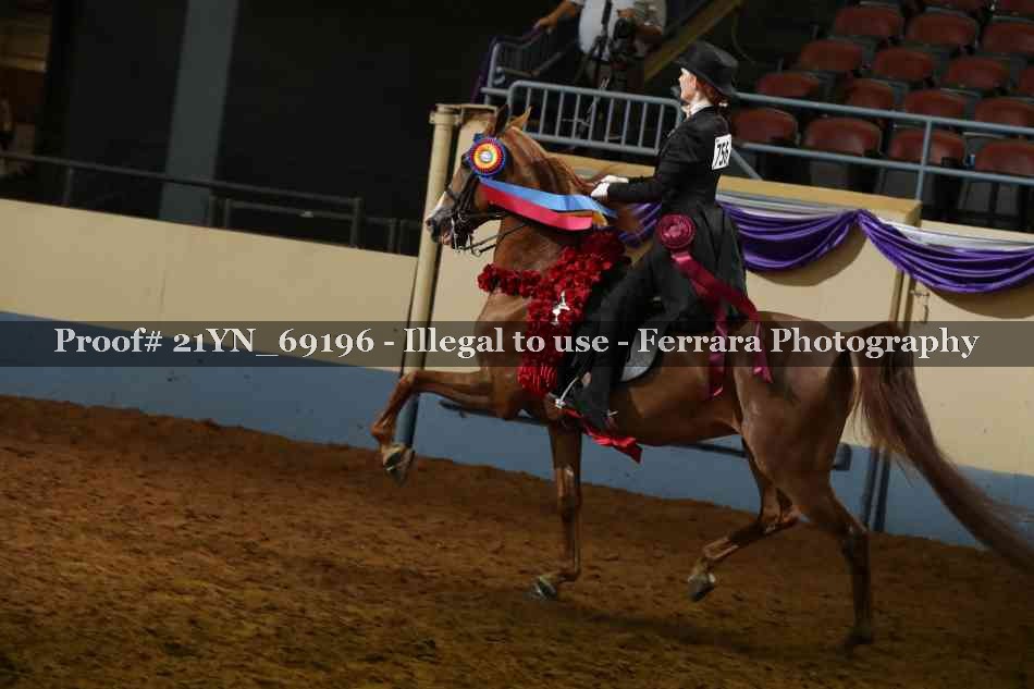 Proof 21YN_69196
