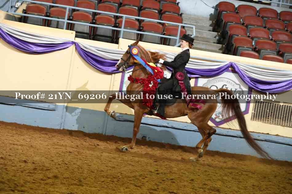 Proof 21YN_69206