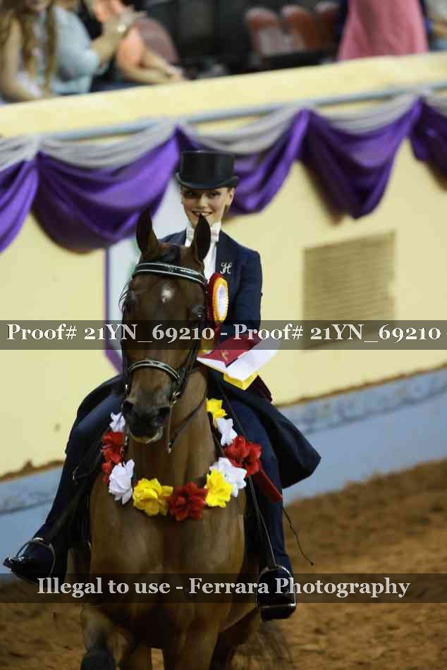 Proof 21YN_69210