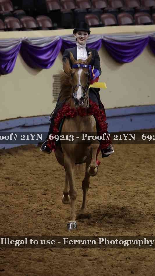 Proof 21YN_69213