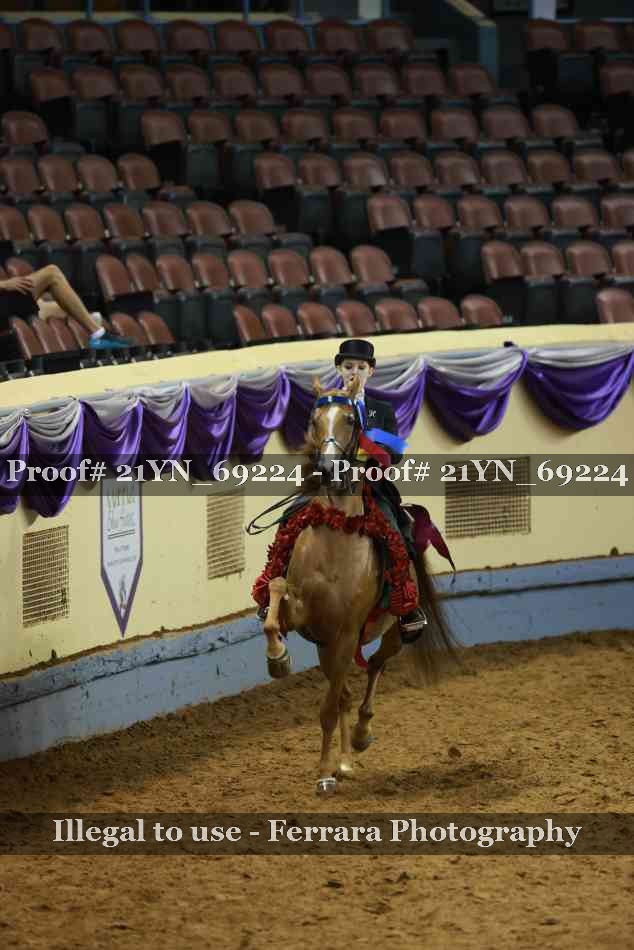 Proof 21YN_69224