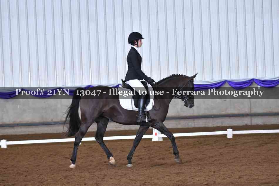 Proof 21YN_13047