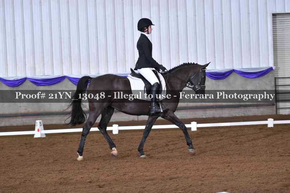 Proof 21YN_13048