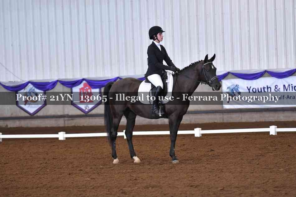 Proof 21YN_13065
