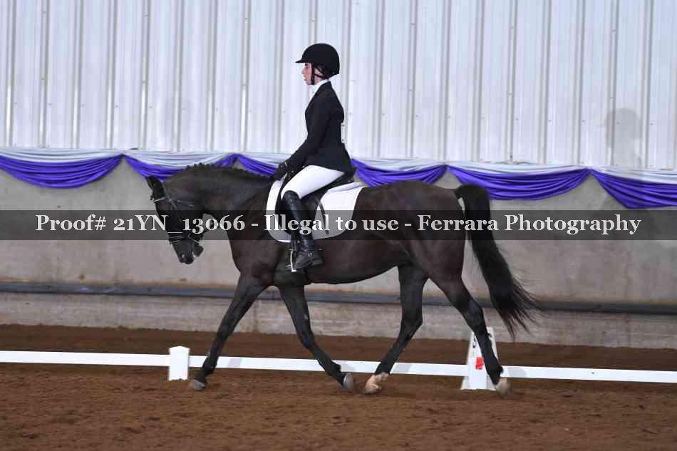Proof 21YN_13066