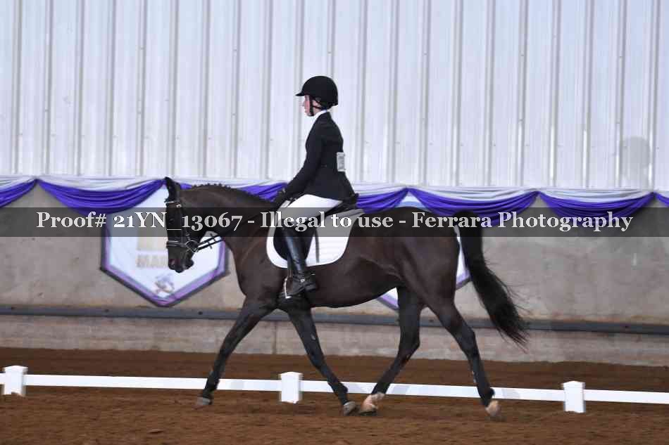 Proof 21YN_13067