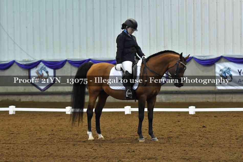 Proof 21YN_13075