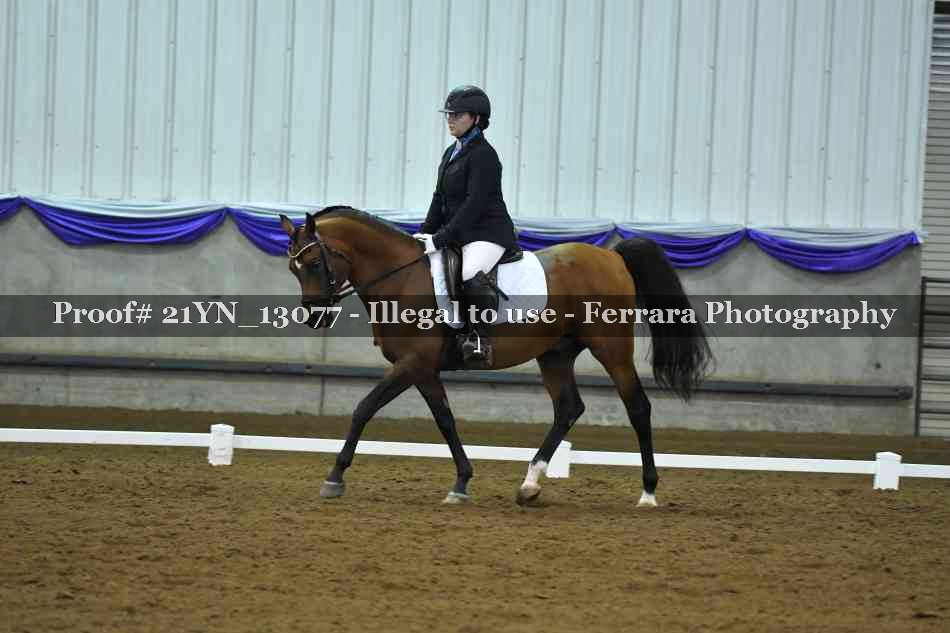 Proof 21YN_13077
