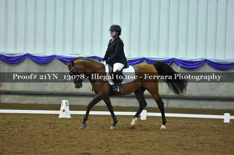 Proof 21YN_13078