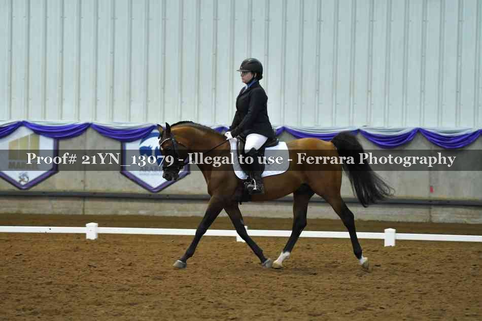 Proof 21YN_13079