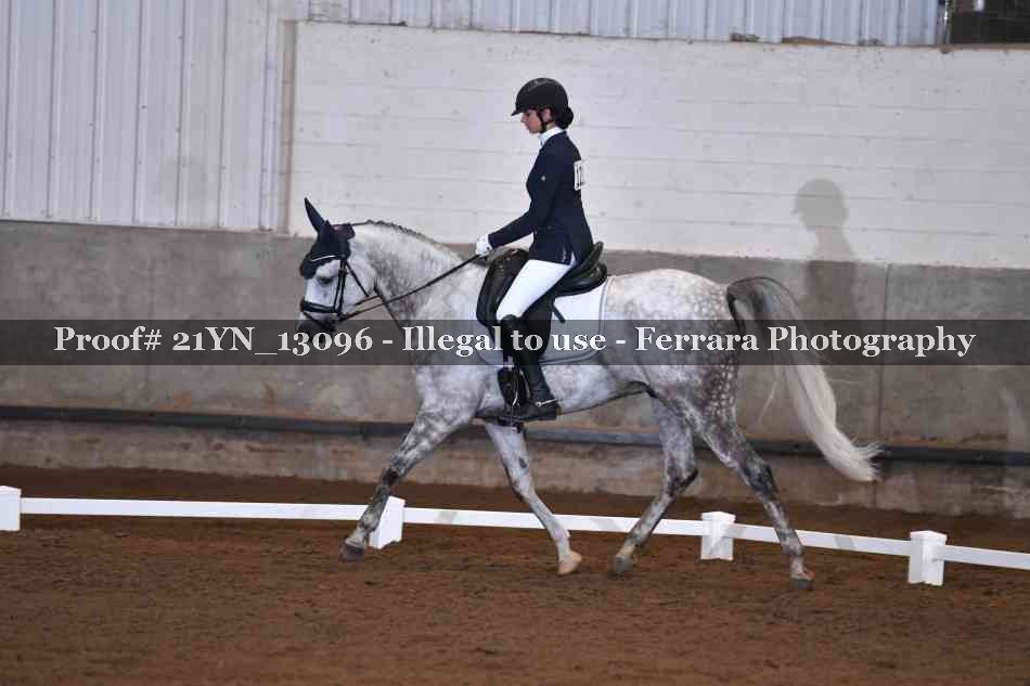 Proof 21YN_13096