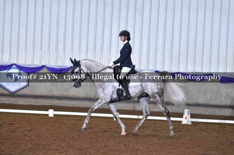 Proof 21YN_13098