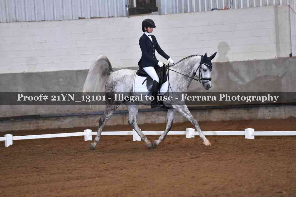 Proof 21YN_13101