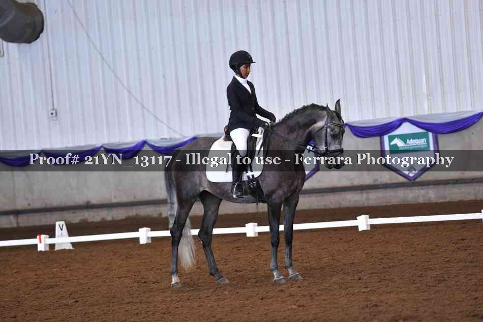 Proof 21YN_13117