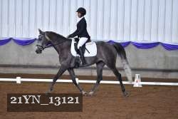 21YN_13121 proof