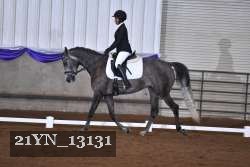 21YN_13131 proof