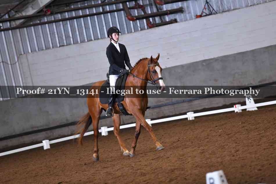 Proof 21YN_13141