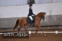 21YN_13151 proof