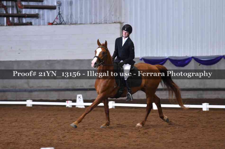 Proof 21YN_13156