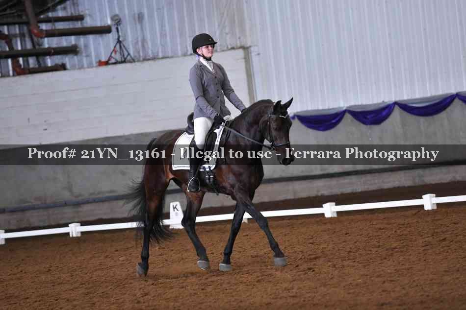 Proof 21YN_13161