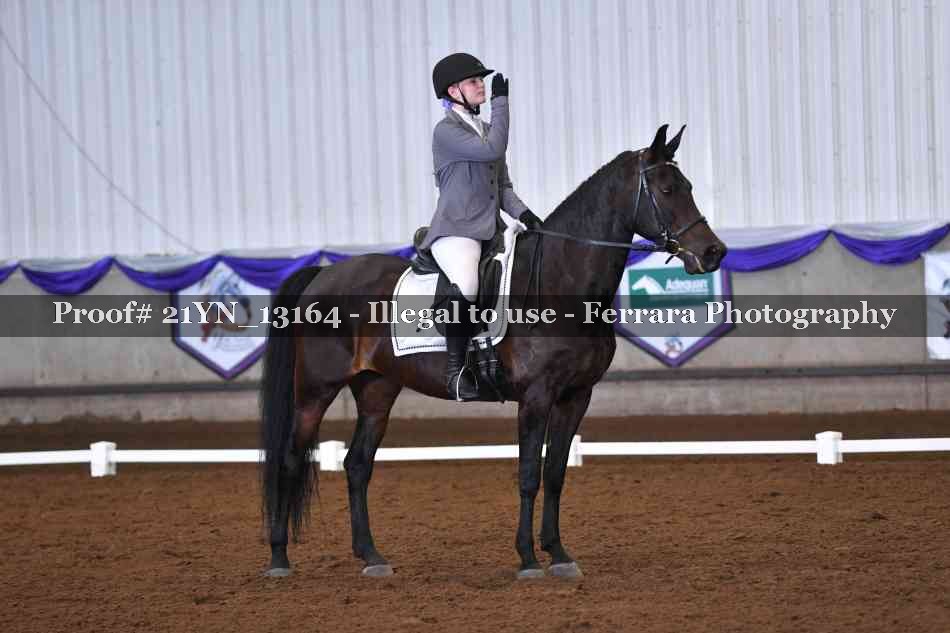 Proof 21YN_13164