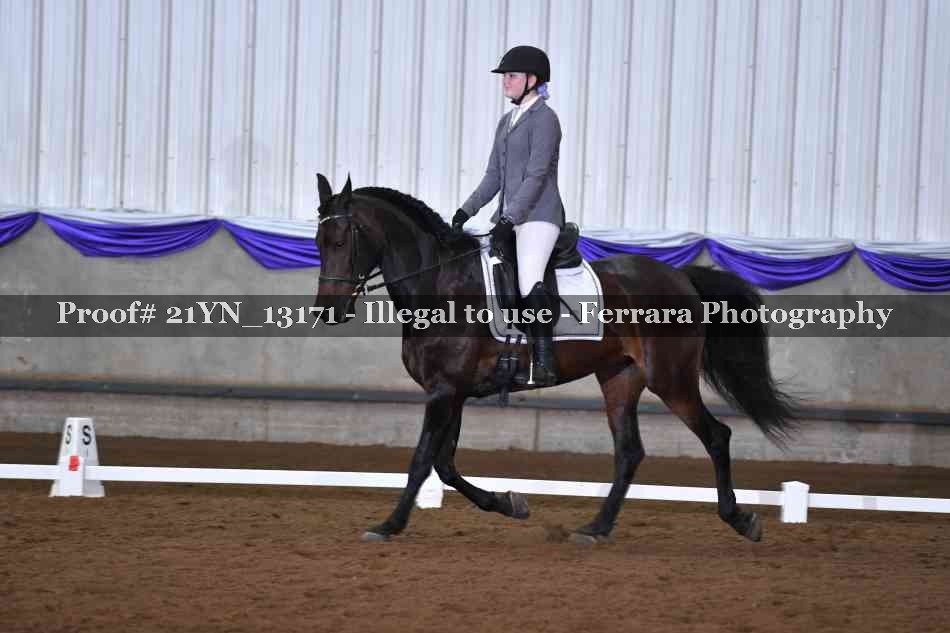 Proof 21YN_13171