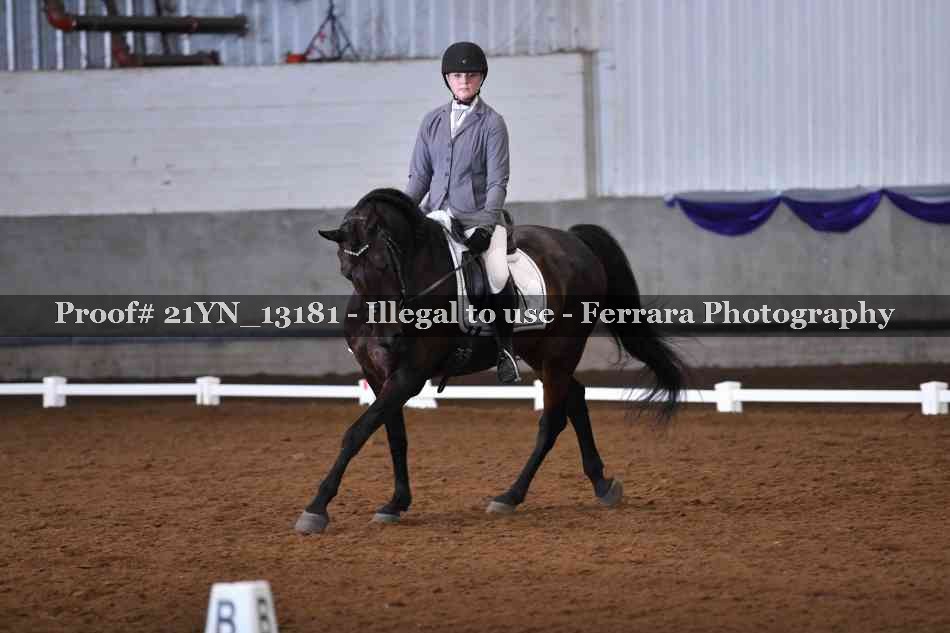Proof 21YN_13181