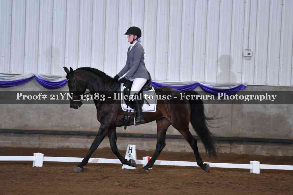 Proof 21YN_13183